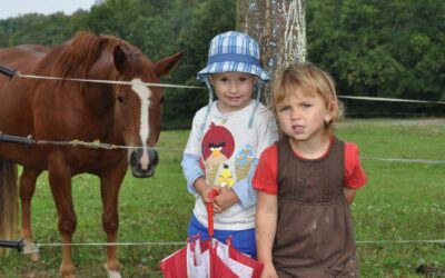 Co se dělo před rokem