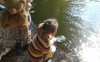 Lesní školka Berounka hledá kvalifikovaného průvodce