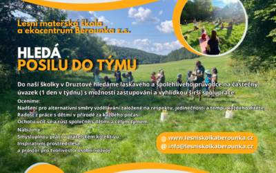 Hledáme posilu do týmu