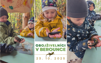 Obojživelníci v Berounce